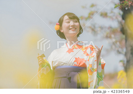 Sakura Sakura 42336549