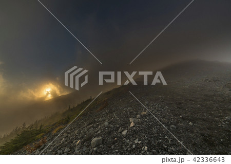 宝永山遊歩道の風景 42336643