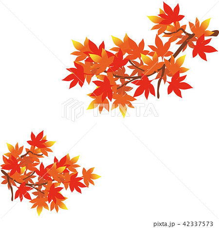 紅葉 イラスト のイラスト素材