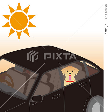 熱中症の危険。　犬の車内閉じ込め。 42338050