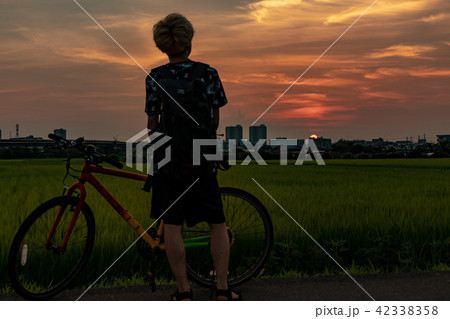 見沼田んぼで夕焼けを眺める男性　上山口新田 42338358