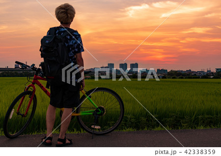 見沼田んぼで夕焼けを眺める男性 上山口新田 見沼田んぼで夕焼けを眺める男性 上山口新田 42338359