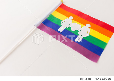 rainbow flag with female couple white pictogram 42338530