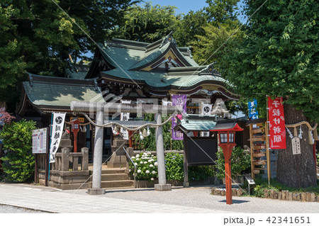 川越八幡宮拝殿 川越八幡宮拝殿 42341651