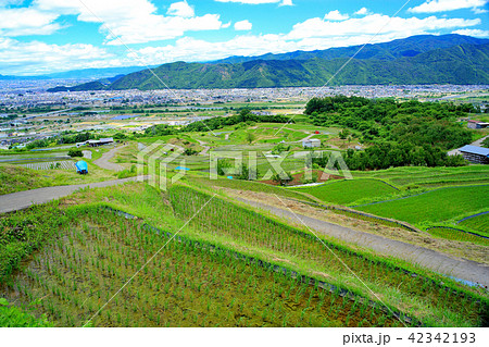 姨捨の棚田 42342193