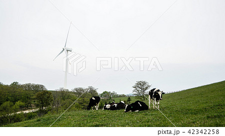 森 江原道 冬季 42342258