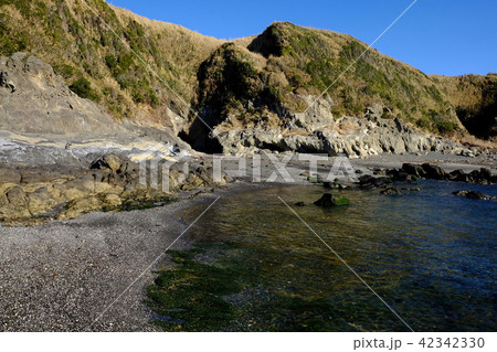 海岸の風景・城ヶ島 42342330