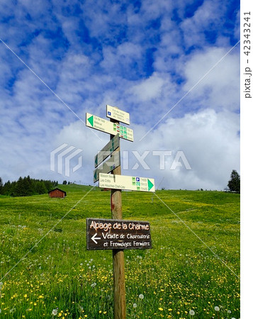 Tour du Mont-Blanc/Col de Voza,France 42343241
