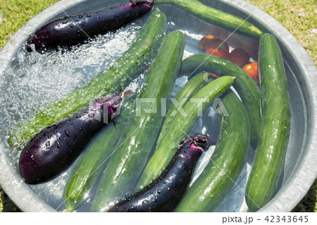 金盥で夏野菜を冷やす 夏イメージの写真素材