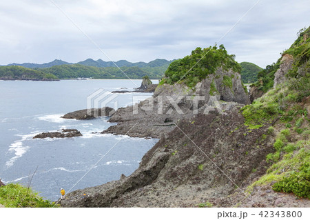 南伊豆タライ岬から弓ヶ浜方面を望む、静岡県賀茂郡南伊豆町にて 42343800