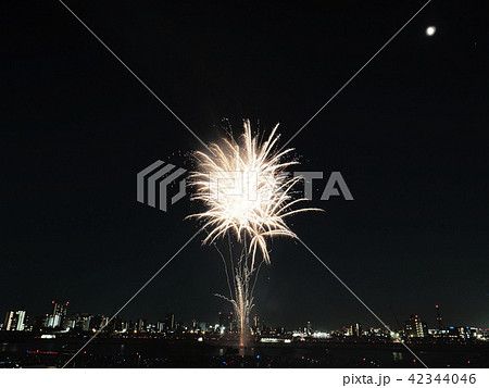 足立の花火2018 足立の花火2018 42344046