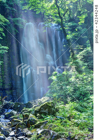 亀田不動滝の光芒 42344248