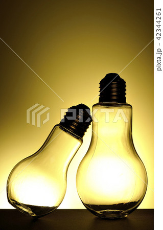 電球~寄り添う光~ 電球~寄り添う光~ 42344261