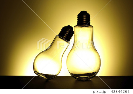 電球~寄り添う光~ 電球~寄り添う光~ 42344262