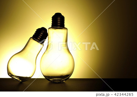 電球~寄り添う光~ 電球~寄り添う光~ 42344265