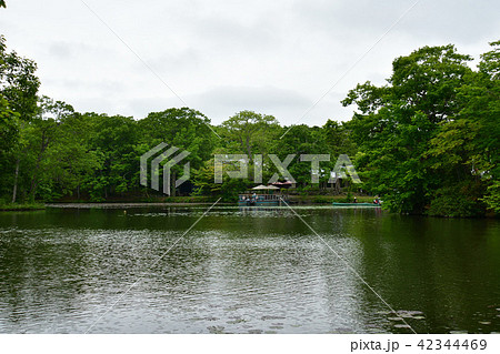大沼国立公園 大沼国立公園 42344469