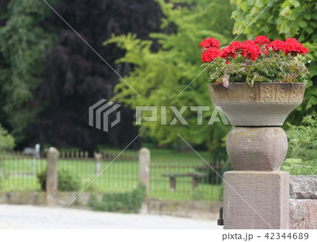 beautiful red flowers on a stone column 42344689