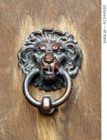 antique door knocker with lions head 42344690