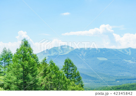 白樺高原から霧ヶ峰の景色 白樺高原から霧ヶ峰の景色 42345842