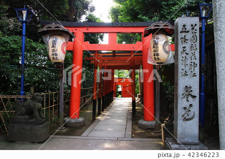 上野公園の赤い鳥居 上野公園の赤い鳥居 42346223
