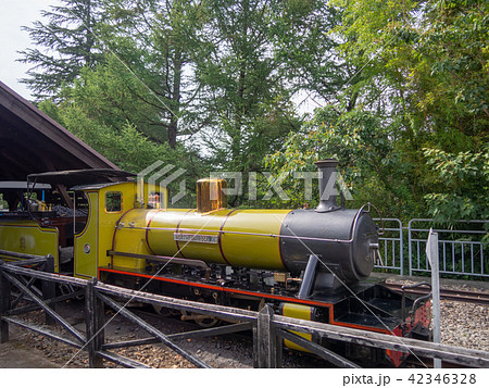 【伊豆】日本唯一の15インチゲージ鉄道、機関車ノーザン・ロックII号【修善寺虹の郷・ロムニー鉄道】 42346328
