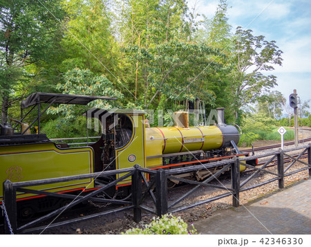 【伊豆】日本唯一の15インチゲージ鉄道、機関車ノーザン・ロックII号【修善寺虹の郷・ロムニー鉄道】 42346330