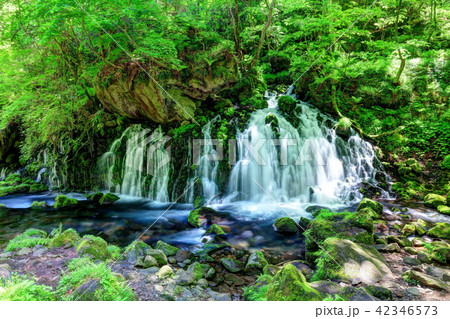 元滝伏流水 42346573