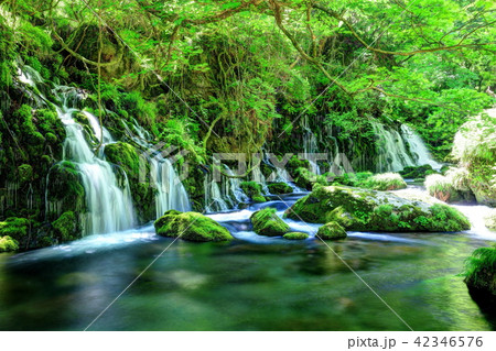 元滝伏流水 42346576