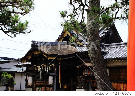 長浜、豊国神社、滋賀県長浜市、豊国大明神 42346676