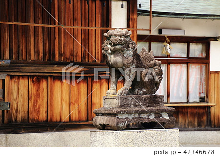 長浜、豊国神社、滋賀県長浜市、豊国大明神、狛犬 42346678