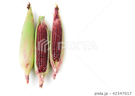 Siam Ruby Queen Corn isolated on white background 42347017