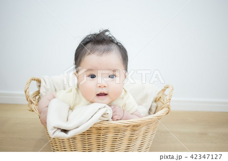 カゴに入った赤ちゃんの写真素材