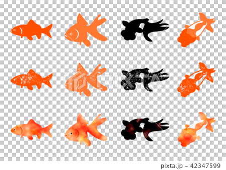 金魚アイコン　はんこ&水彩 42347599