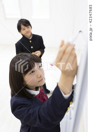 ディスカッションする中学生 42347685