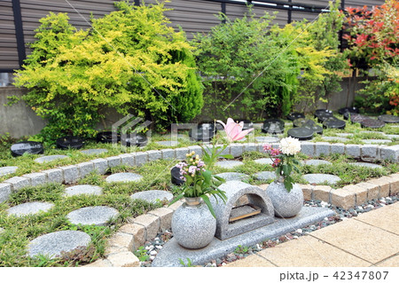 樹木葬 東京都 樹木葬 東京都 42347807