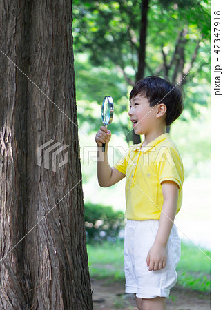 夏 公園 子供 42347918