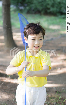 夏 公園 子供 42347945