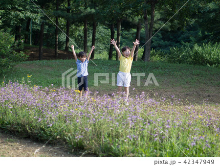 夏 公園 子供 42347949
