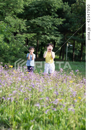 夏 公園 子供 42347950