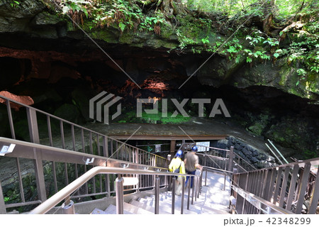 (山梨県)鳴沢氷穴 出入り口 (山梨県)鳴沢氷穴 出入り口 42348299