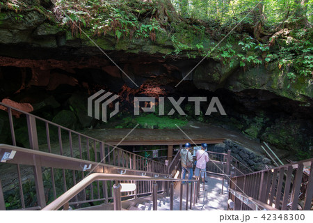(山梨県)鳴沢氷穴 出入り口 (山梨県)鳴沢氷穴 出入り口 42348300