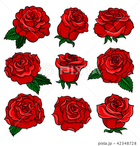 Set of gorgeous red roses. Bud of gorgeous garden flowers. Old-school floral tattoo. Vector design 42348728