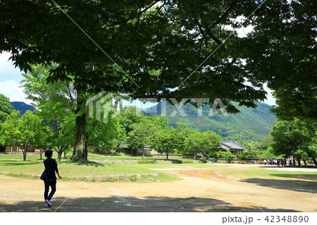 楽安邑城 民俗村 丸屋 42348890