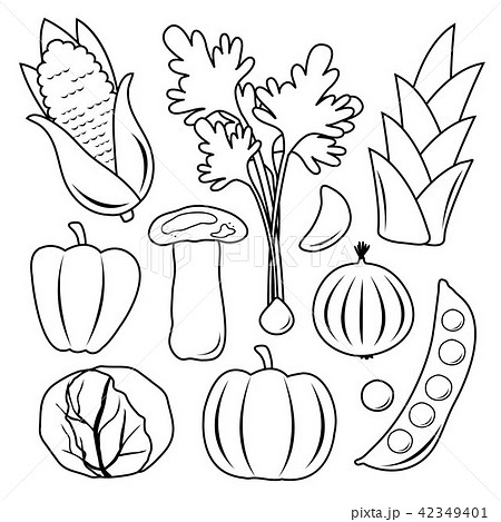 Vegetable Black Icon Set Vector 42349401