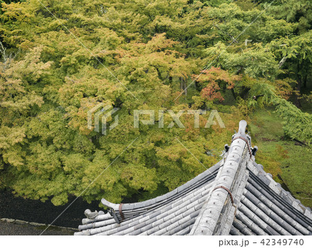 京都 京都市 京都府 42349740