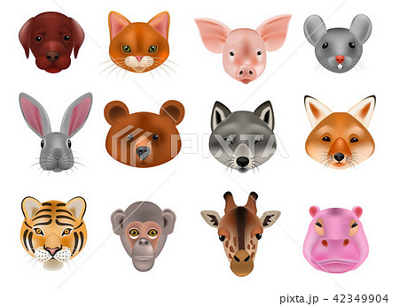 Animal mask vector animalistic masking face of wild characters bear wolf rabbit and cat or dog on Animal mask vector animalistic masking face of wild characters bear wolf rabbit and cat or dog on 42349904