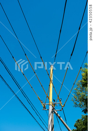 電気工事素材 電気工事素材 42350558
