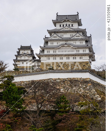 Himeji Castle in rainy day 42350961