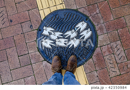 Manhole cover on street 42350984