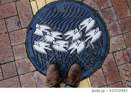 Manhole cover on street 42350985